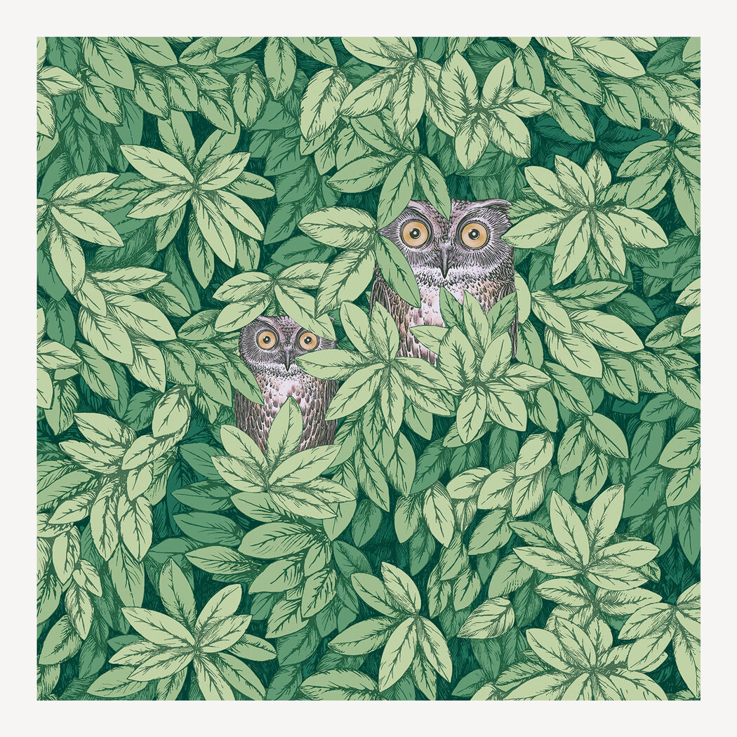 The Owl House Wallpaper - EnWallpaper