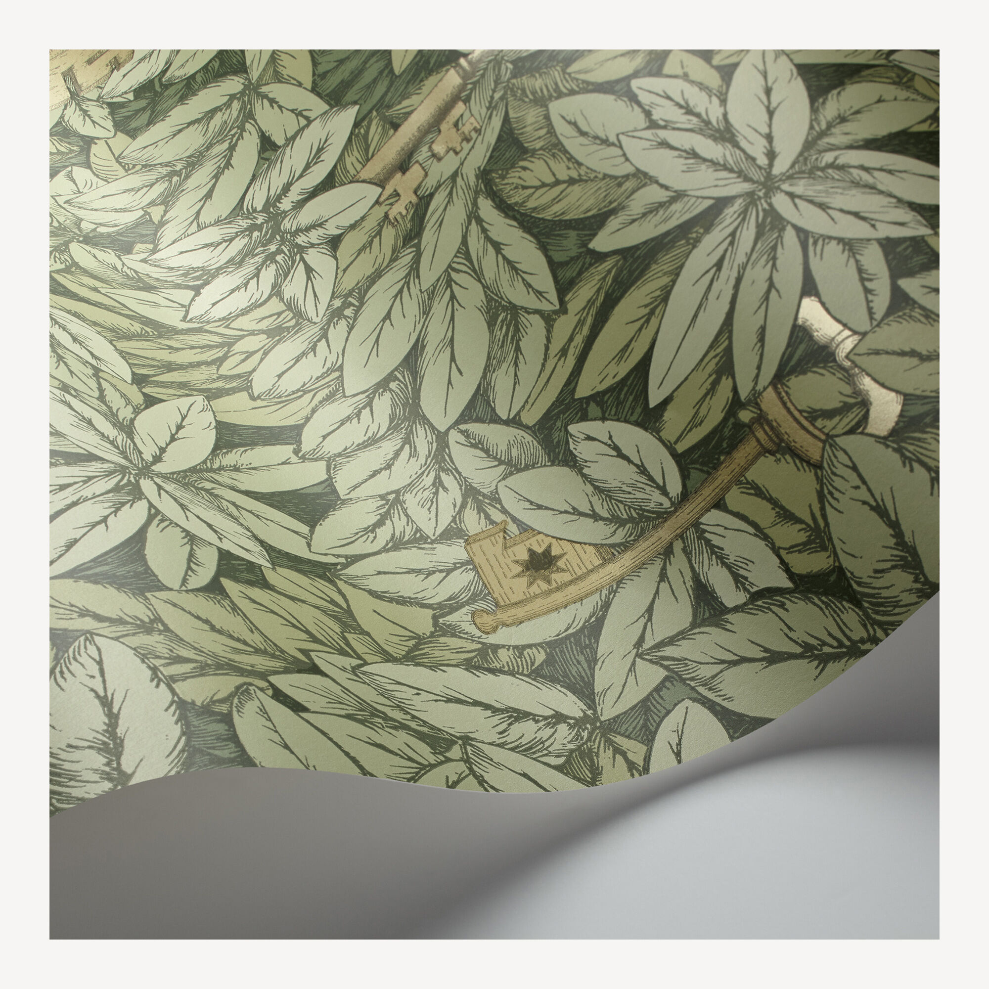 ASSBRI COLLECTIONS Dark Olive Leaves SELF-Adhesive Wallpaper 400 X 45 CM :  Amazon.in: Home Improvement